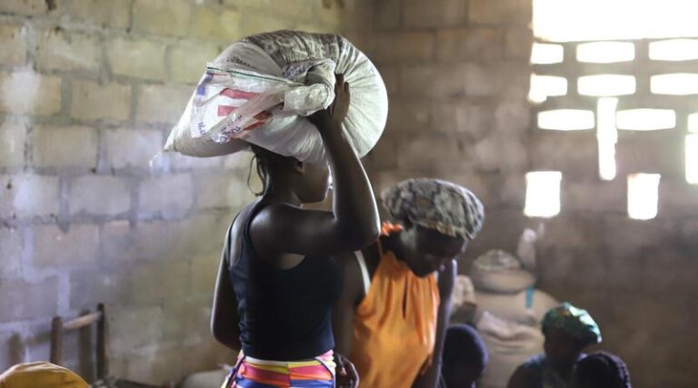 Haiti: FAO and CERF Launch Emergency Initiative To Bolster Rural Food Security Amid Climatic Shocks, Deportations And Mass Displacement