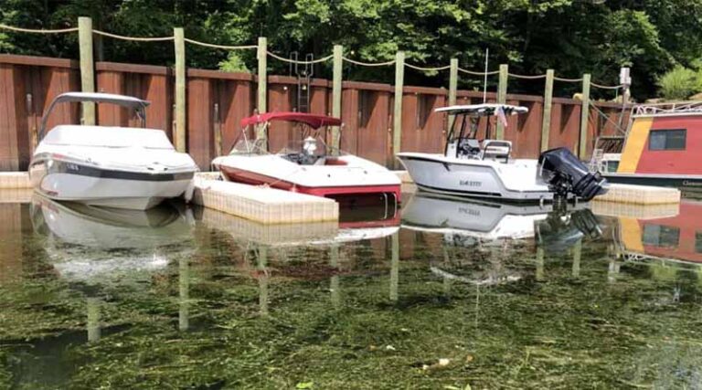 WSSA and APMS Urge Army Corps for Renewed Aquatic Plant Control Program Funding