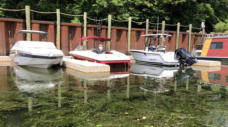 WSSA and APMS Urge Army Corps for Renewed Aquatic Plant Control Program Funding