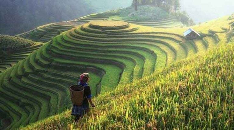 China Sees More Prosperous Agriculture, Livable Countryside
