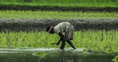 Melioidosis Threat in Madhya Pradesh: Government Initiates Measures to Protect Farmers