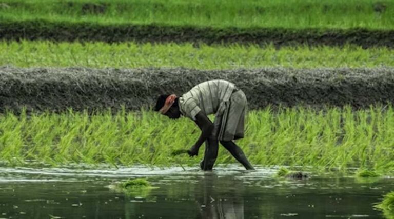 Melioidosis Threat in Madhya Pradesh: Government Initiates Measures to Protect Farmers