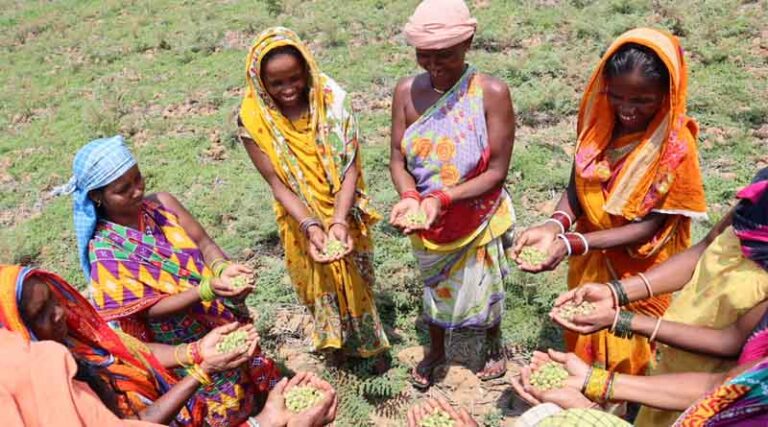 Food, Farms, And The Future: Why Transforming Agri-food Systems Is Key To Viksit Bharat 2047