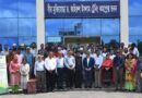 Breakthrough In Cold-tolerant Rice Development Benefits Haor Farmers Under Haor-kgf Project In Bangladesh