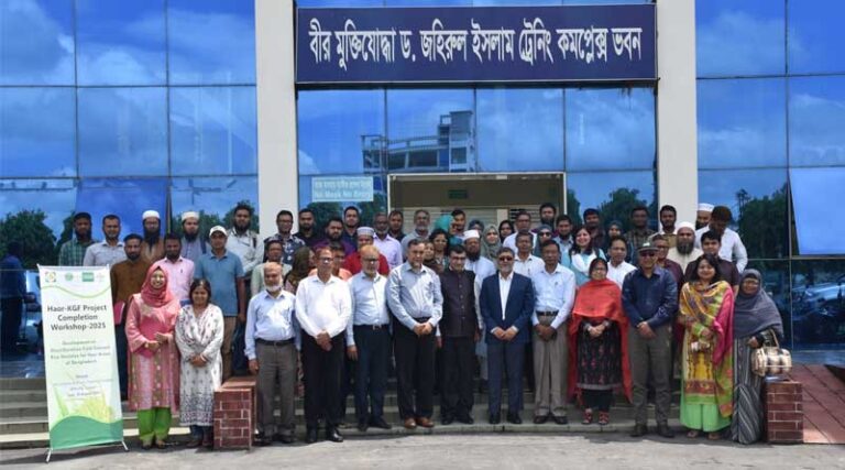 Breakthrough In Cold-tolerant Rice Development Benefits Haor Farmers Under Haor-kgf Project In Bangladesh
