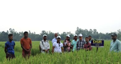 Murdoch University Delegation Visits Nilphamari to Observe Direct-Seeded Rice Adoption in Bangladesh