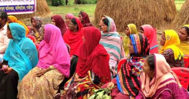 Study briefs: PlantwisePlus Supports Bangladesh, Pakistan And Sri Lanka Achieve Climate And Agricultural Goals