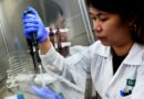 IRRI’s SHU Clears Global Quality Audits To Speed Safe Rice Seed Exchange