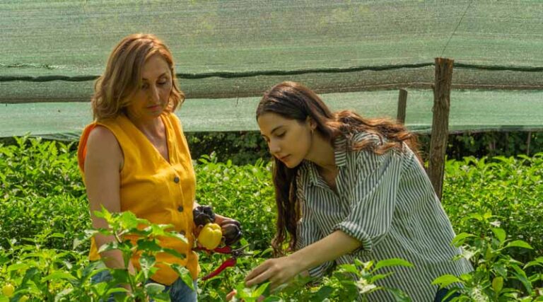 Spreading Agricultural Knowledge And Creativity Across Georgian Farms