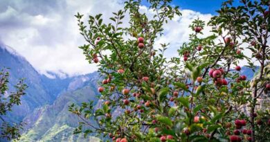 Project InnerSpace Launches GeoFund with First Funded Project to Pioneer Economic Growth Through Sustainable Agriculture