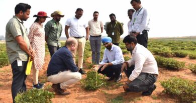 Breakthrough Discovery Offers Hope Against Devastating Groundnut Disease
