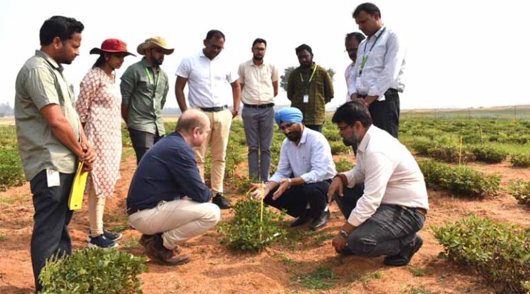 Breakthrough Discovery Offers Hope Against Devastating Groundnut Disease