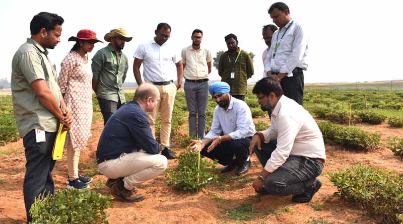 Breakthrough Discovery Offers Hope Against Devastating Groundnut Disease