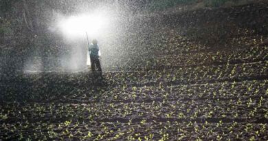 Argus Launches Africa Fertilizer Pricing Service