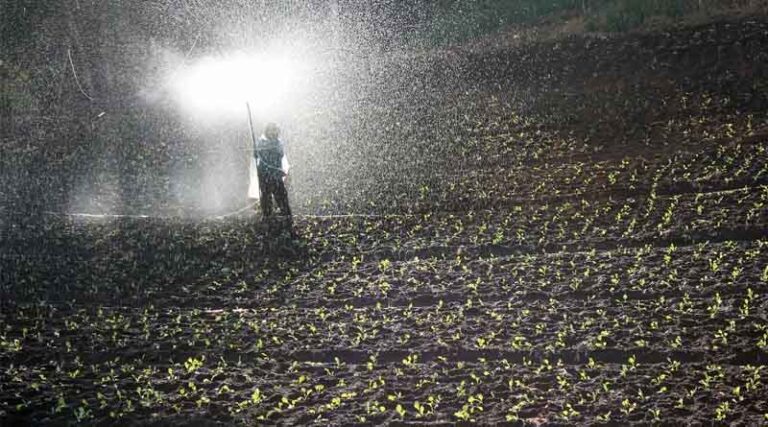 Argus Launches Africa Fertilizer Pricing Service