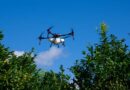 XAG Drones Give Brazilian Farmers the Edge Amid Unpredictable Weather
