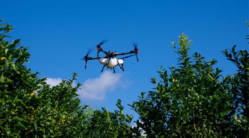 XAG Drones Give Brazilian Farmers the Edge Amid Unpredictable Weather