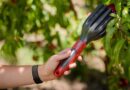 Tropical Agro Unveils AI – Enabled Tech Tools To Tackle India’s 7 Million Tonnes Fruit Loss Problem