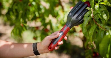 Tropical Agro Unveils AI – Enabled Tech Tools To Tackle India’s 7 Million Tonnes Fruit Loss Problem