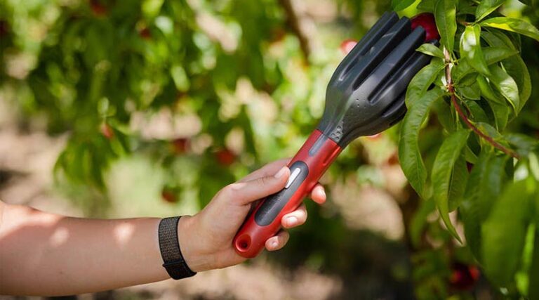Tropical Agro Unveils AI – Enabled Tech Tools To Tackle India’s 7 Million Tonnes Fruit Loss Problem