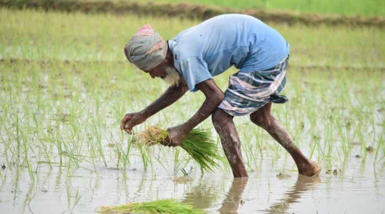 Regulation of Biostimulant Products under Fertilizer Control Order (FCO), 1985
