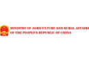China Expects Bumper Grain Harvest For 2025