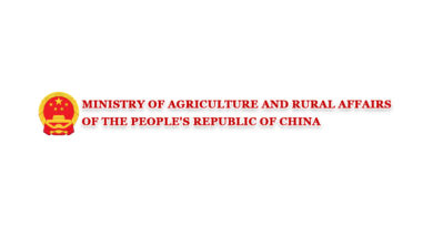 China Expects Bumper Grain Harvest For 2025