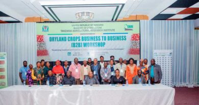 Unlocking Investment and Innovation in Dryland Crops: A Business Forum on Sorghum and Groundnut in Tanzania