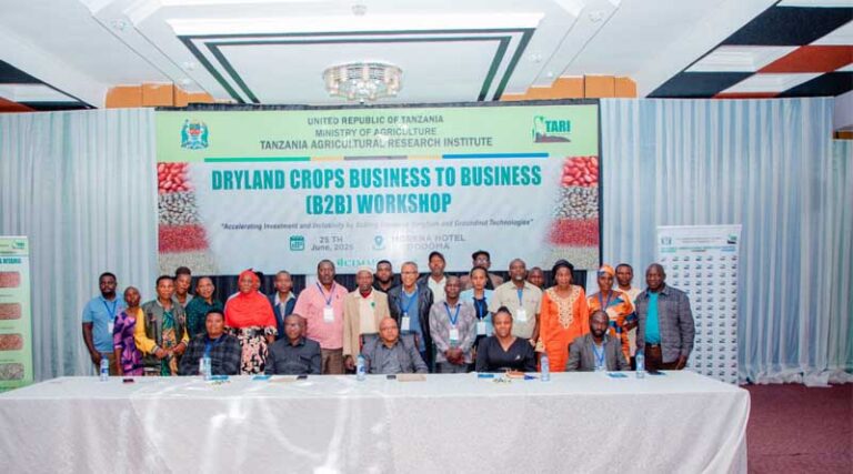 Unlocking Investment and Innovation in Dryland Crops: A Business Forum on Sorghum and Groundnut in Tanzania