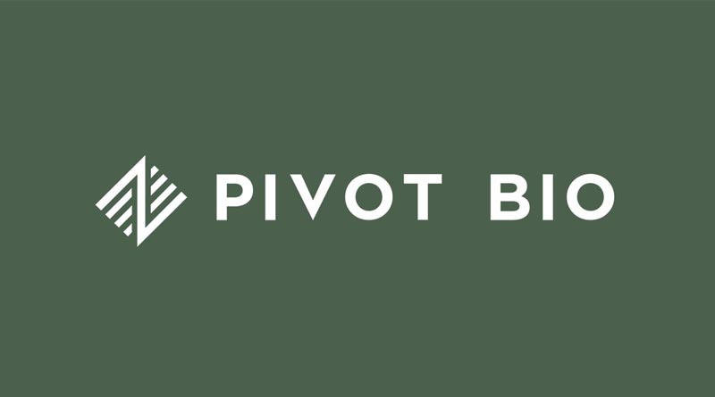 Pivot Bio Evolving World-Class Digital Strategy