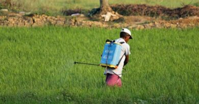 Indian Agrochemical Industry Raises Alarm Over Rampant Patents on Combination Pesticides