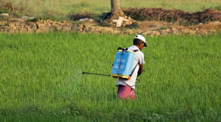 Indian Agrochemical Industry Raises Alarm Over Rampant Patents on Combination Pesticides