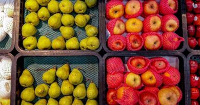 APEDA Launches BHARATI Initiative to Empower Agri-Tech Startups and Boost India’s Agri-Food Exports