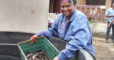 Cameroon: Fish Farming Makes a Difference in the Fight to Improve Living Standards
