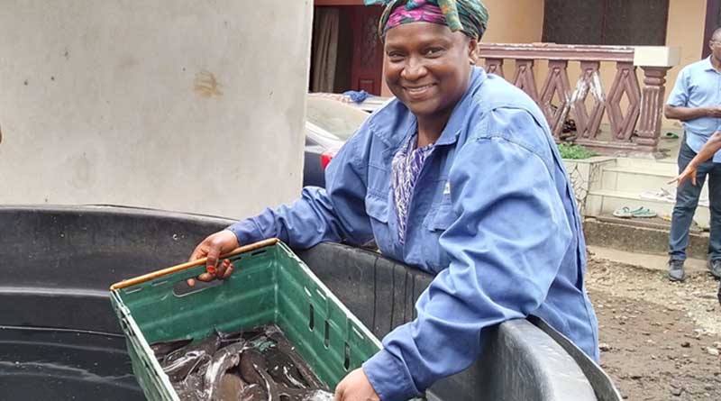 Cameroon: Fish Farming Makes a Difference in the Fight to Improve Living Standards