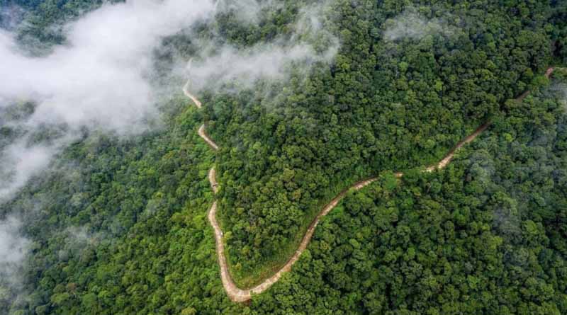 Vietnam To Transfer 1 Million Tons Of Carbon Credit to The World Bank