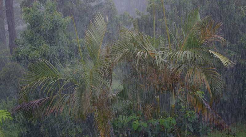 IMD Alert: Heavy Rainfall to Lash Multiple States Across India Over the Next 7 Days