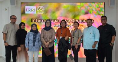 IRRI hosts BMRP Indonesia for strategic meetings and writeshop on Rice Crop Manager