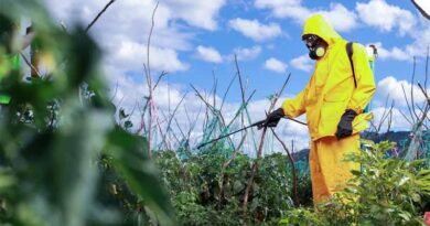 How Can We Make Smallholder Farming More Sustainable, Safer And Secure To Feed A Growing World?
