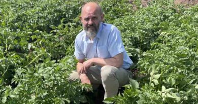 Scorching Summer Shows Urgent Action Is Needed For Potatoes