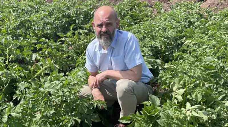 Scorching Summer Shows Urgent Action Is Needed For Potatoes