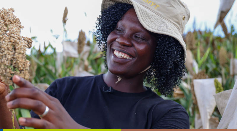 New Report Exposes Pervasive Gender Inequalities In Sub-saharan Africa’s Agrifood Systems, Despite Women Powering Half The Agrifood Workforce