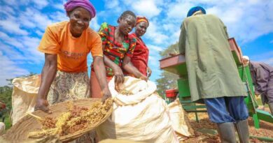 South–South Collaboration: Building Resilient Food Systems for the Most Vulnerable