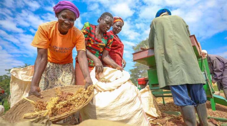 South–South Collaboration: Building Resilient Food Systems for the Most Vulnerable