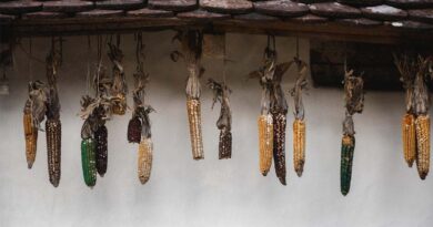 FAO Food Price Index Virtually Unchanged In August