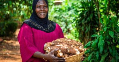CABI Announces Plan To Strengthen Impact And Ensure Long-term Sustainability
