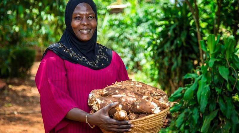 CABI Announces Plan To Strengthen Impact And Ensure Long-term Sustainability