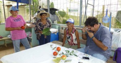 Private-Sector Plant Clinics Advancing Sustainable Agriculture In Costa Rica