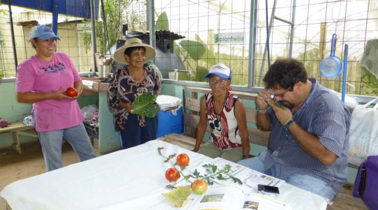 Private-Sector Plant Clinics Advancing Sustainable Agriculture In Costa Rica