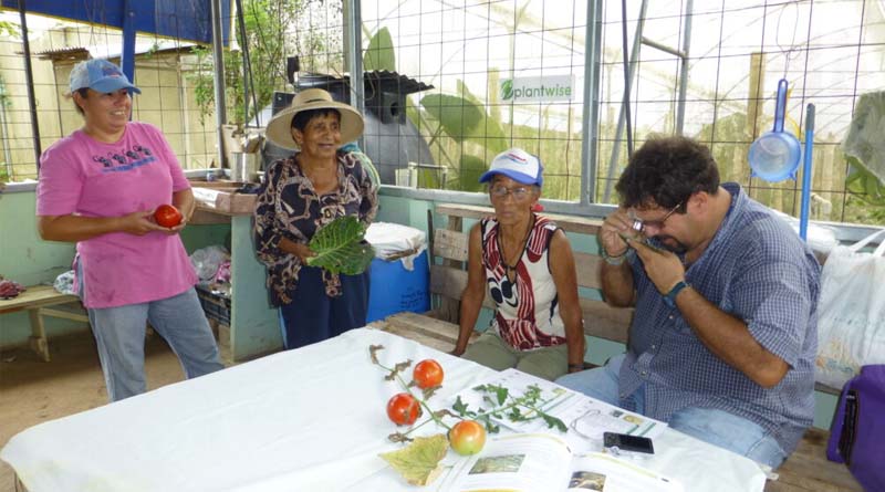 Private-Sector Plant Clinics Advancing Sustainable Agriculture In Costa Rica